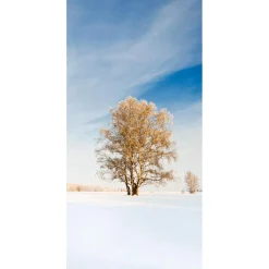 Clearance DecoWoerner Schwer Entflammbarer Stoffbanner "Goldener Winterbaum" Aus Fahnenstoff 100 X 200 Cm weiß