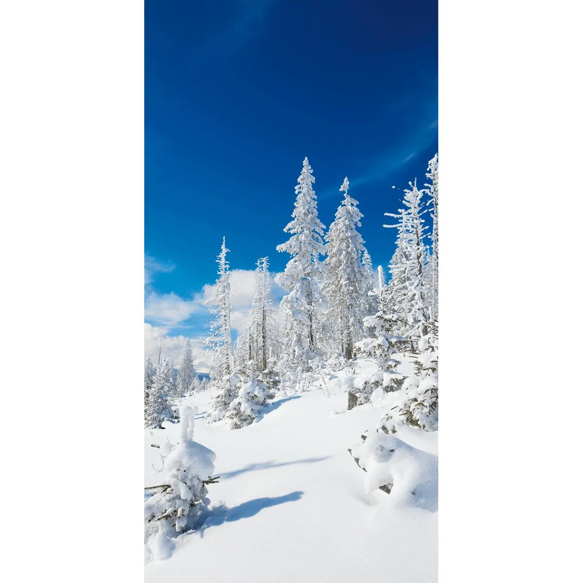 Best DecoWoerner Schwer Entflammbarer Stoffbanner "Beschneite Wintertannen" Aus Fahnenstoff 100 X 200 Cm weiß