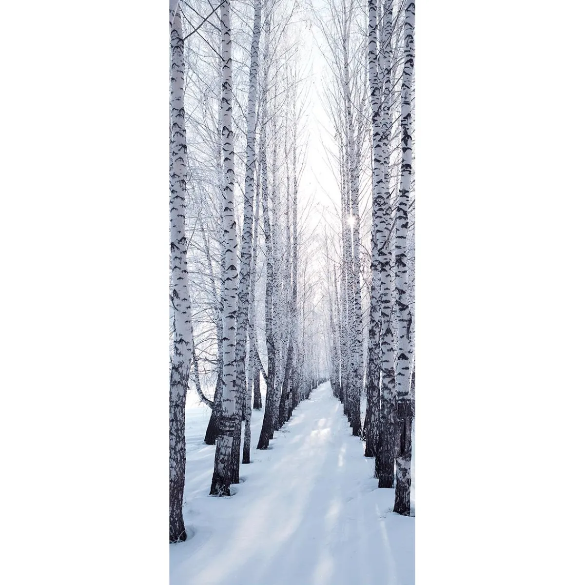 Sale DecoWoerner Schwer Entflammbarer Stoffbanner "Winterbirkenallee" Aus Fahnenstoff 75 X 180 Cm weiß