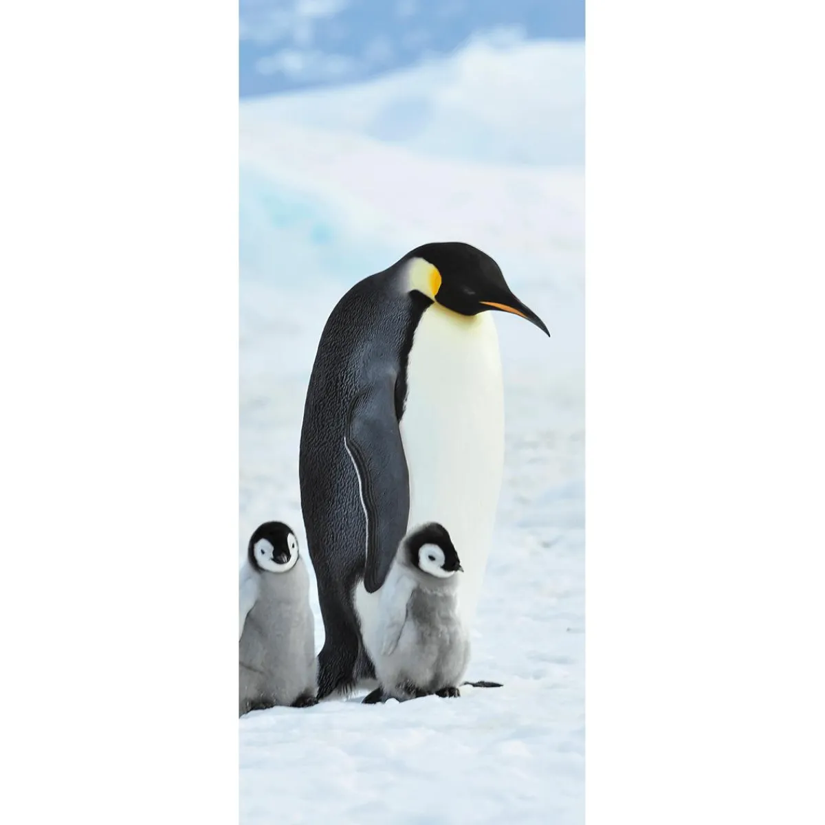 Online DecoWoerner Schwer Entflammbarer Stoffbanner "Kaiserpinguin-Familie" Aus Fahnenstoff 75 X 180 Cm schwarz