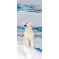 New DecoWoerner Schwer Entflammbarer Stoffbanner "Eisbär" Aus Fahnenstoff 75 X 180 Cm weiß