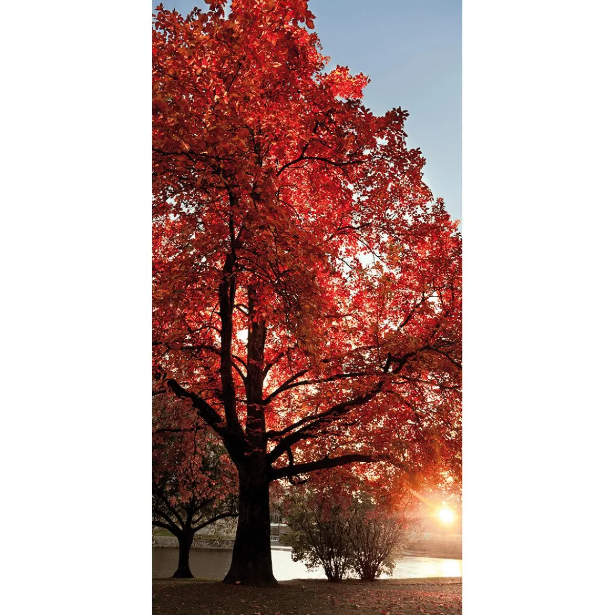 Discount DecoWoerner Schwer Entflammbarer Stoffbanner "er Herbstbaum" Aus Fahnenstoff 100 X 200 Cm rot