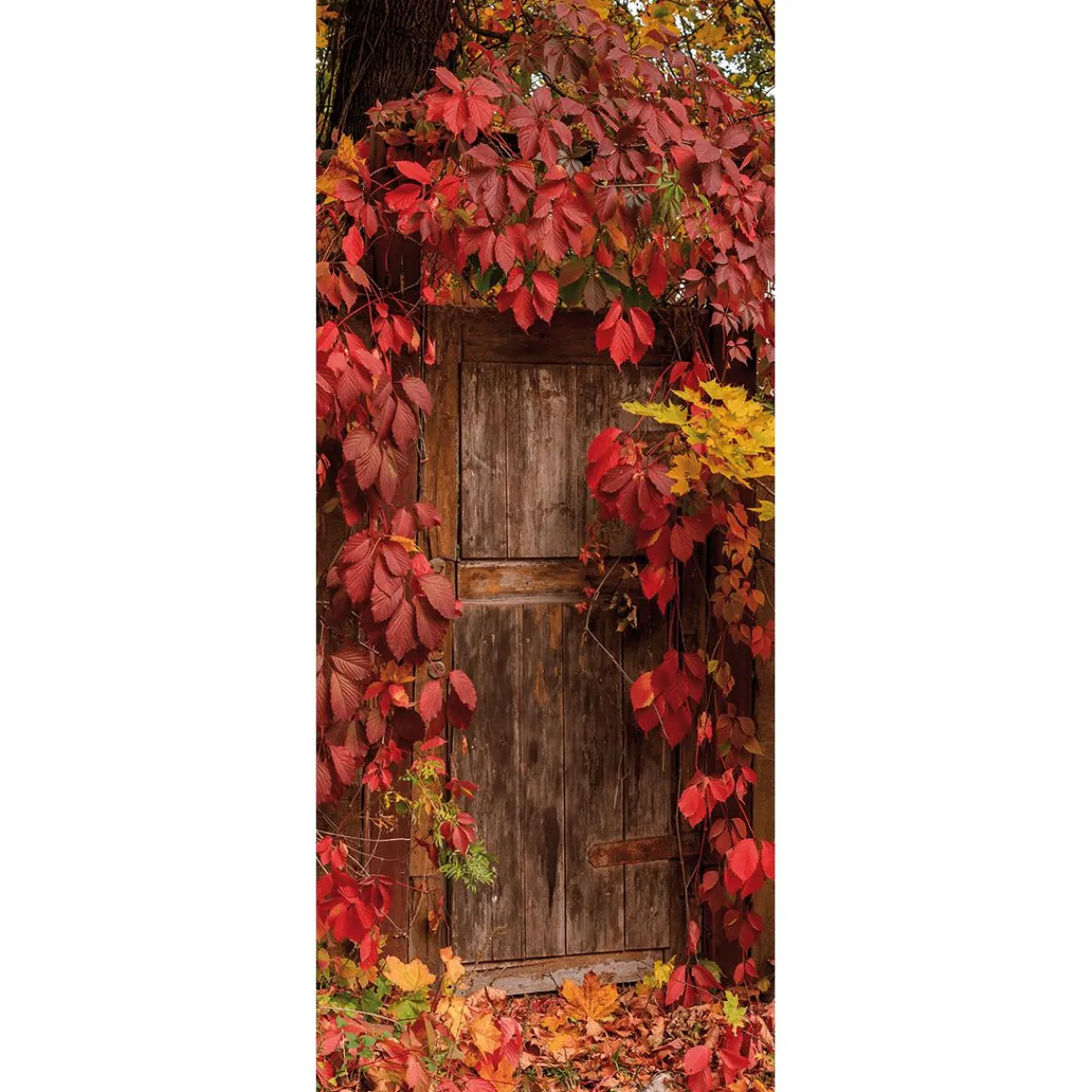 Online DecoWoerner Schwer Entflammbarer Stoffbanner "Holztür Mit em Wein" Aus Fahnenstoff 75 X 180 Cm rot