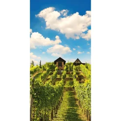 Online DecoWoerner Schwer Entflammbarer Stoffbanner "Sonniger Weinberg" Aus Fahnenstoff 100 X 200 Cm grün