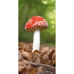 Best DecoWoerner Schwer Entflammbarer Stoffbanner "Glückspilz" Aus Fahnenstoff 100 X 200 Cm rot
