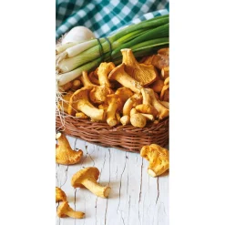 Discount DecoWoerner Schwer Entflammbarer Stoffbanner "Pfifferling-Pilze" Aus Fahnenstoff 100 X 200 Cm gelb