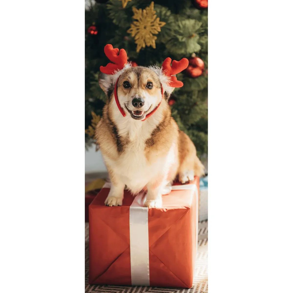 Outlet DecoWoerner Schwer Entflammbarer Stoffbanner "Weihnachtshund Corgi" Aus Fahnenstoff 75 X 180 Cm braun