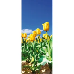 Online DecoWoerner Schwer Entflammbarer Stoffbanner es Tulpenfeld Aus Fahnenstoff 75 X 180 Cm gelb