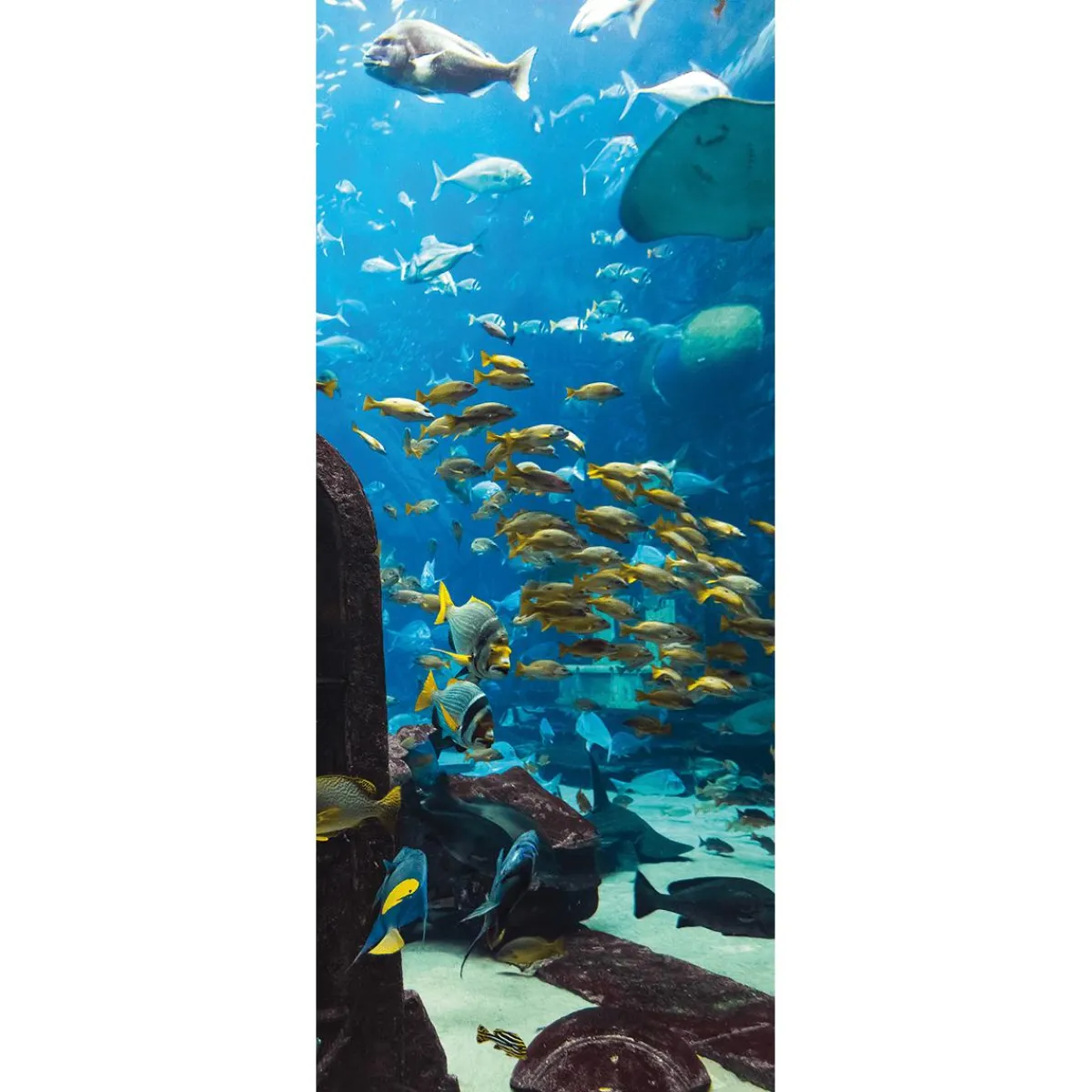 Online DecoWoerner Schwer Entflammbarer Stoffbanner „Unterwasserlandschaft Im Aquarium“ Aus Fahnenstoff 75 X 180 Cm blau
