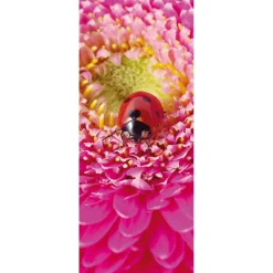 Outlet DecoWoerner Schwer Entflammbarer Stoffbanner „Marienkäfer Auf Pinker Blüte“ Aus Fahnenstoff 75 X 180 Cm rot