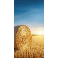 Sale DecoWoerner Schwer Entflammbarer Stoffbanner „goldene Strohballen“ Aus Fahnenstoff 100 X 200 Cm gelb