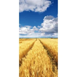 Discount DecoWoerner Schwer Entflammbarer Stoffbanner „goldenes Kornfeld Unter Blauem Himmel“ Aus Fahnenstoff 100 X 200 Cm gelb