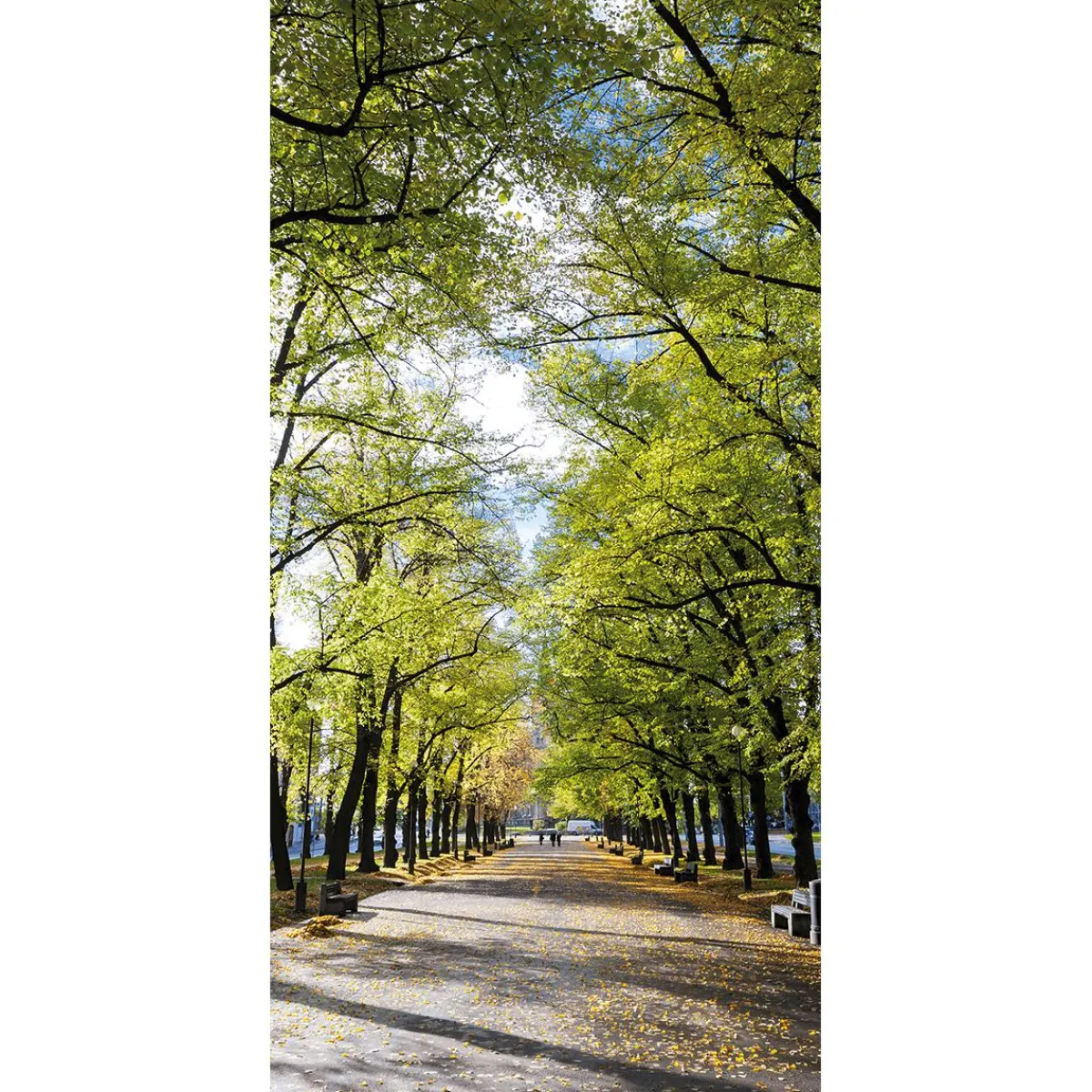 DecoWoerner Schwer Entflammbarer Stoffbanner „Allee Im Park“ Aus Fahnenstoff 100 X 200 Cm grün