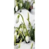 Online DecoWoerner Schwer Entflammbarer Stoffbanner "Schneeglöckchen" 75 X 180 Cm