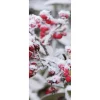 Best DecoWoerner Schwer Entflammbarer Stoffbanner "Rote Beeren" 75 X 180 Cm