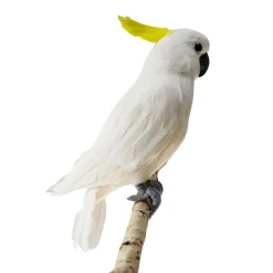 Sale DecoWoerner Sitzender Deko-Papagei -gelber Kakadu, 40 Cm weiß
