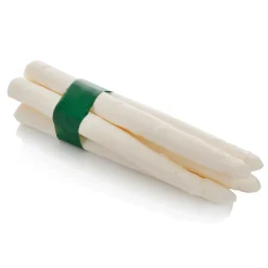 New DecoWoerner Spargelbund, Weiss -Lebensmittel-Attrappe 22 Cm weiß