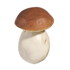 Online DecoWoerner Steinpilze Lebensmittel-Attrappe 10 Cm, 3 Stück braun