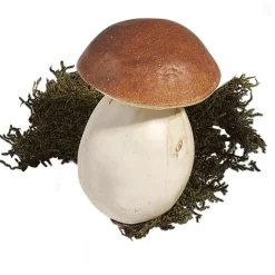Online DecoWoerner Steinpilze Lebensmittel-Attrappe 10 Cm, 3 Stück braun