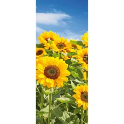 Outlet DecoWoerner Stoffbanner Sonnenblumenfeld Aus Fahnenstoff 75 X 180 Cm