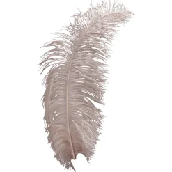 New DecoWoerner Straußenfeder Puder, 50 - 60 Cm rosa