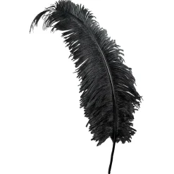 Online DecoWoerner Straußenfeder , 60 Cm schwarz