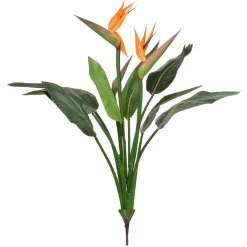 Hot DecoWoerner Strelizie Ohne Topf Mit Blüten B1, 103 Cm orange