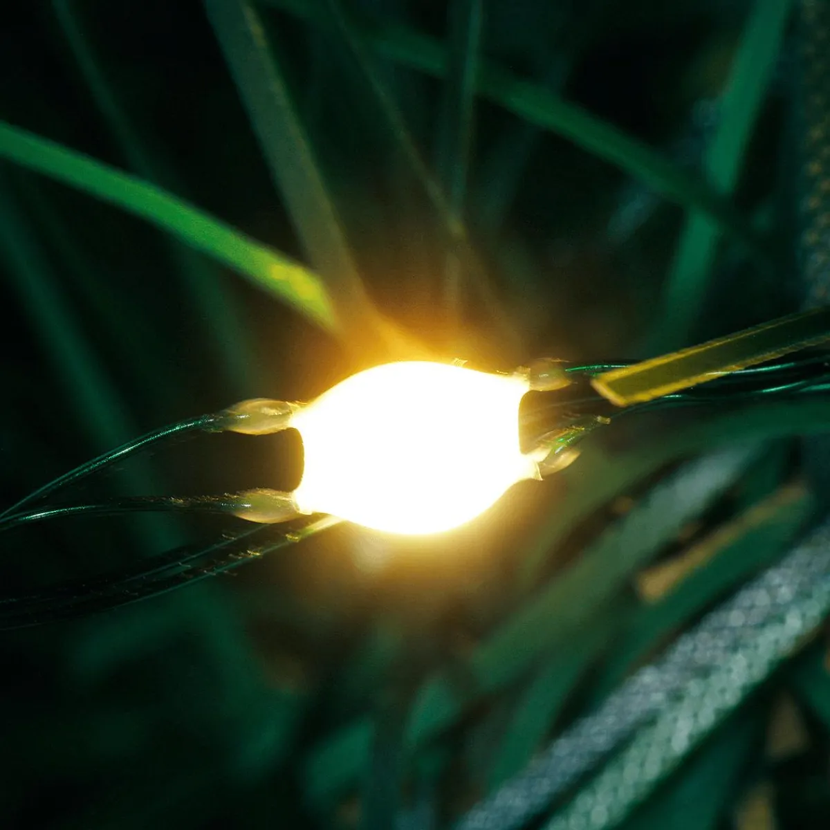 Sale DecoWoerner Tannengirlande Deluxe Mit LED 270 Cm 25 Cm Ø grün
