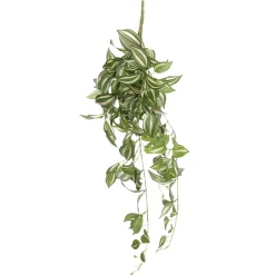 Best DecoWoerner Tradecantiahänger 65 Cm grün