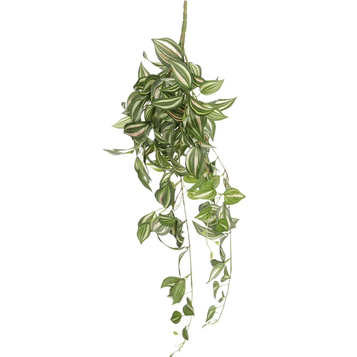Best DecoWoerner Tradecantiahänger 65 Cm grün