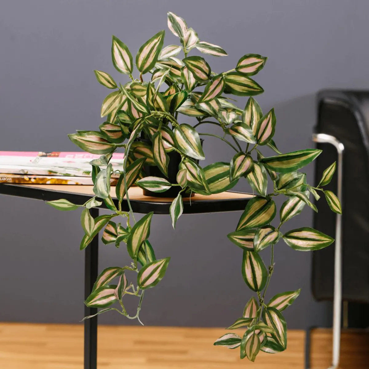 Hot DecoWoerner Tradecantiahänger Im Topf 30 Cm grün