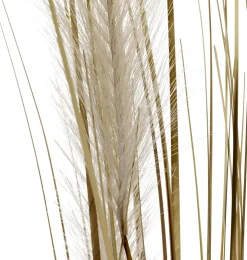 Best DecoWoerner Trocken-Grasbündel 150 Cm Hoch, In Weißem Topf Ø 20 Cm braun