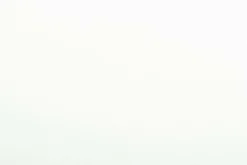 New DecoWoerner Universalstoff Polyester Creme, 150 Cm Breit weiß