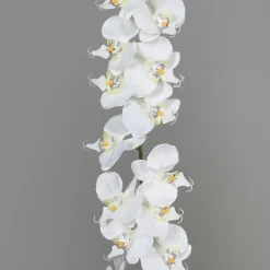 Online DecoWoerner e Künstliche Orchideen Girlande 175 Cm weiß