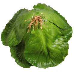 Clearance DecoWoerner Weißkohl Lebensmittel-Attrappe, 13 Cm Ø grün