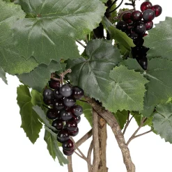 New DecoWoerner Weinrebenpflanze Im Topf Mit Trauben 90 Cm grün