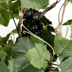 New DecoWoerner Weinrebenpflanze Im Topf Mit Trauben 90 Cm grün