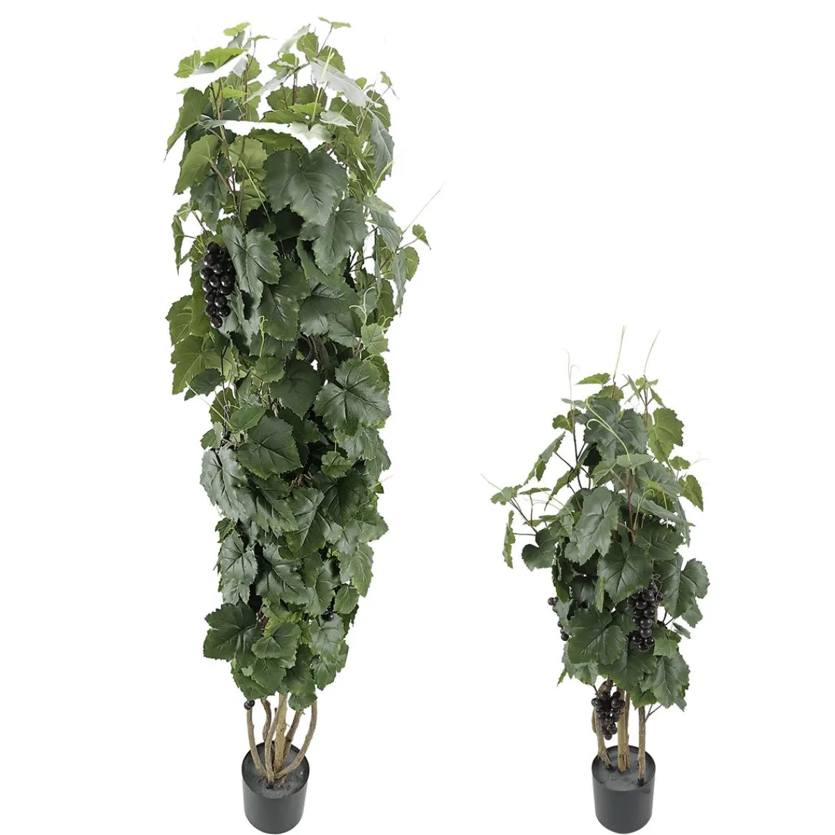 New DecoWoerner Weinrebenpflanze Im Topf Mit Trauben 90 Cm grün