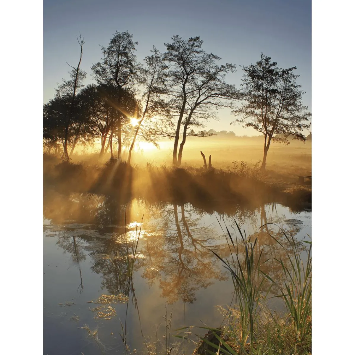 Best DecoWoerner XL-Stoffbanner "Herbstnebel" Aus Schwer Entflammbarem Fahnenstoff 150 X 200 Cm