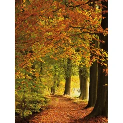 Hot DecoWoerner XL-Stoffbanner "Herbstwald" Aus Schwer Entflammbarem Fahnenstoff 150 X 200 Cm orange