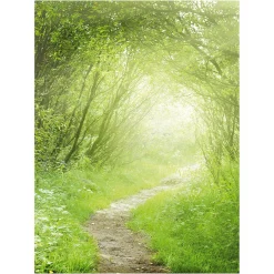 Best DecoWoerner XL-Stoffbanner "Waldweg" Aus Schwer Entflammbarem Fahnenstoff 150 X 200 Cm grün
