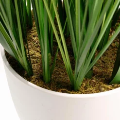 Best DecoWoerner XXL Deko-Tigergras Im Weißen Topf 120 Cm grün