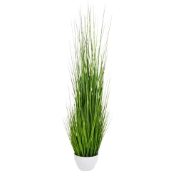 Online DecoWoerner XXL Deko-Tigergras Im Weißen Topf 150 Cm grün
