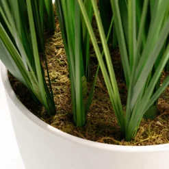 Online DecoWoerner XXL Deko-Tigergras Im Weißen Topf 150 Cm grün