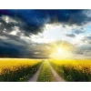 Outlet DecoWoerner XXL-Planenbanner "Rapsfeld" Aus Schwer Entflammbarer LKW-Plane 250 X 330 Cm