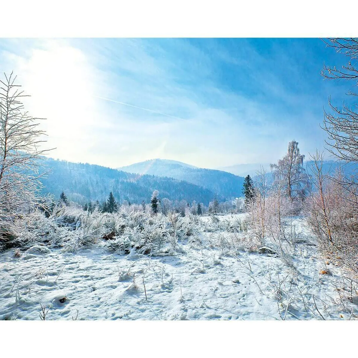 Best DecoWoerner XXL-Planenbanner "Winterlandschaft" Aus Schwer Entflammbarer LKW-Plane 250 X 330 Cm weiß